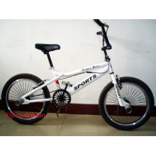 New Developed Freestyle BMX Bikes (FP-FSB-H027)